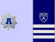 DCDR (old Division Captain (DCP))  3 stripes
